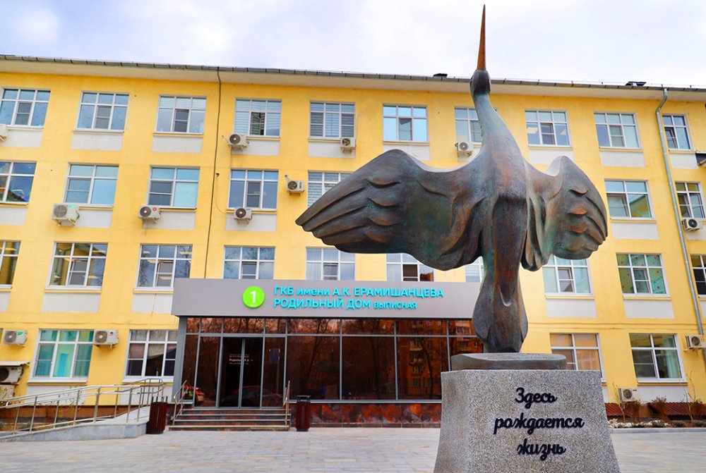 Родильный дом ГКБ им. А.К. Ерамишанцева